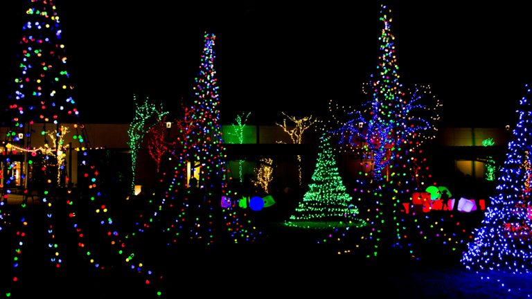 Holiday House Decorating Contest