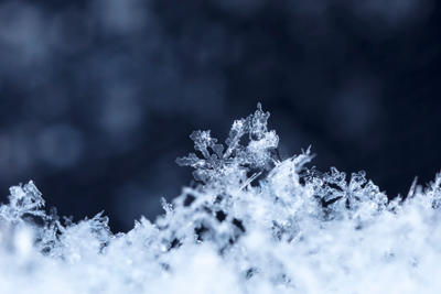 Borough Hall and the Community Center at the Fel Closed Tuesday, January 27