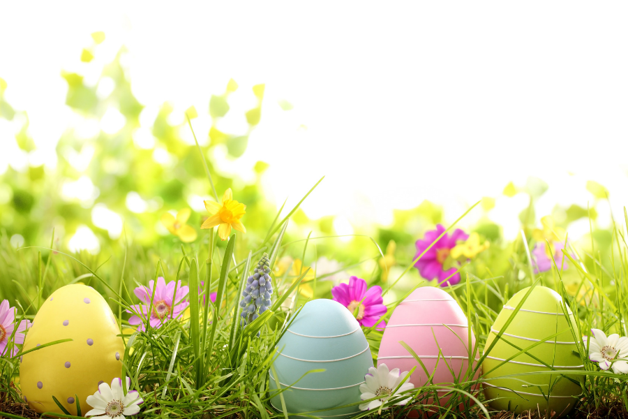 Easter Eggs w/Spring Flowers
