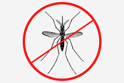 Mosquito Spraying in Borough Parks June 15, 2022