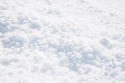 Borough Hall and Community Center at the Fel Closed on Friday, January 19